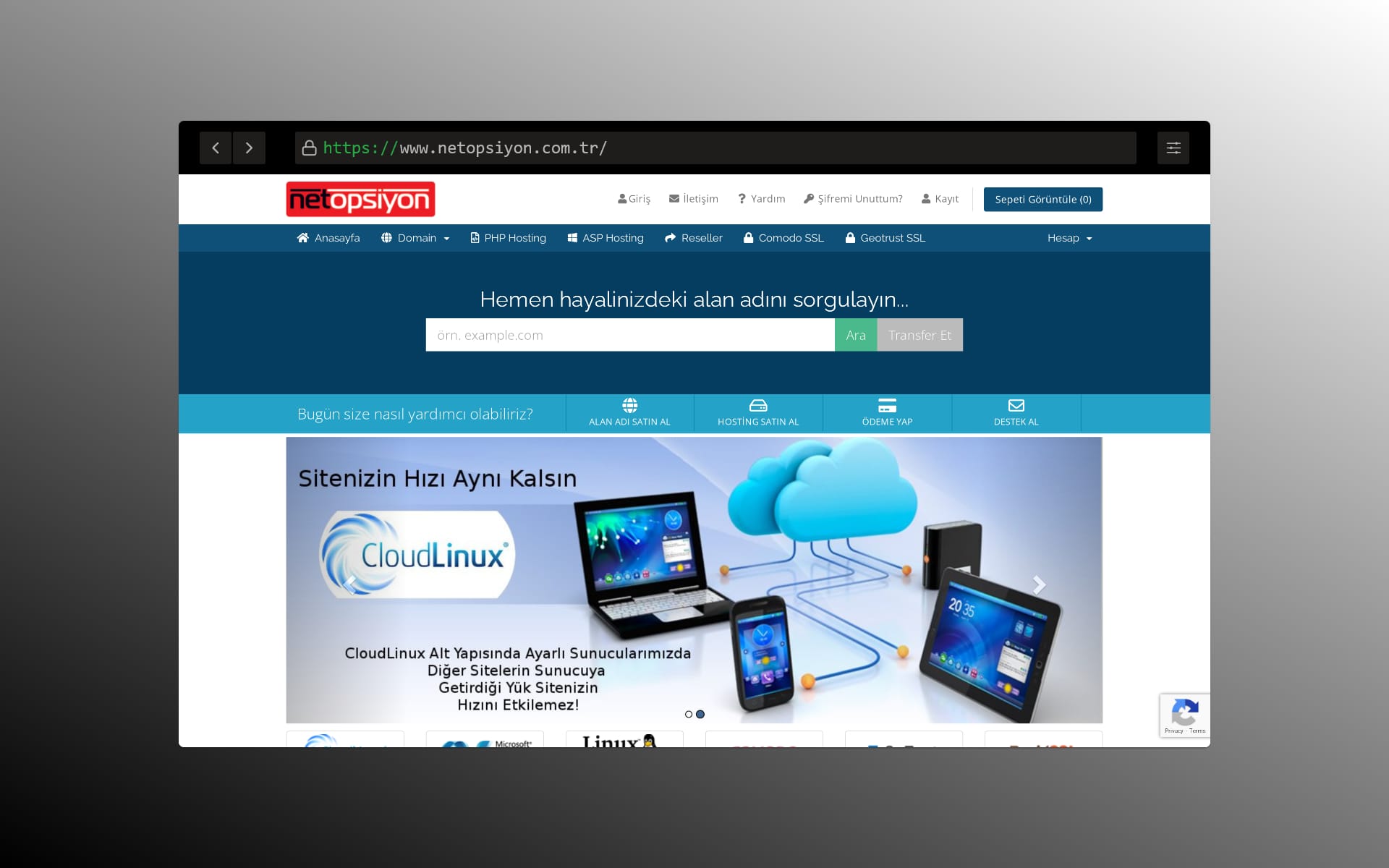 Domain & Hosting