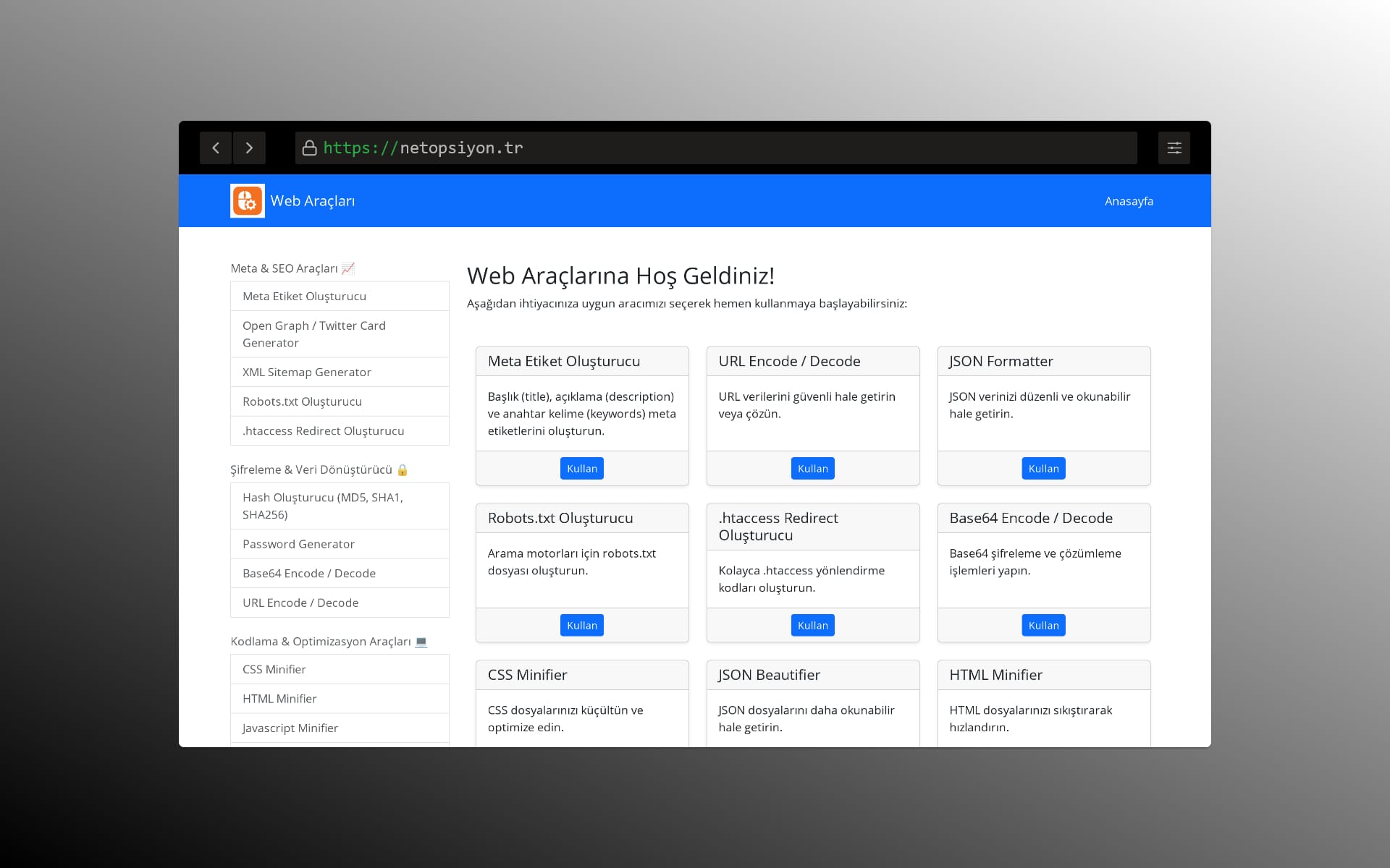Web Araçları